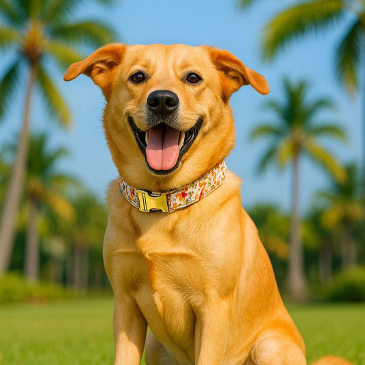 Handmade Golden Christmas Dog Collar by MUTTCO